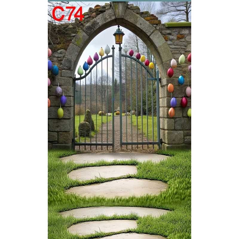 FONDS STUDIO TYPE C 2025