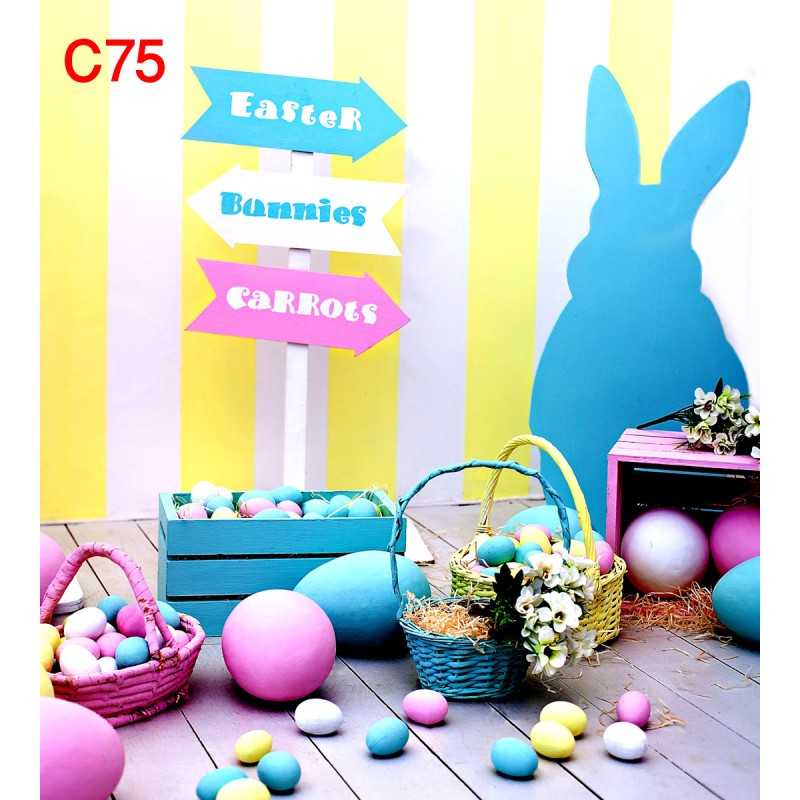 FONDS STUDIO TYPE C 2025