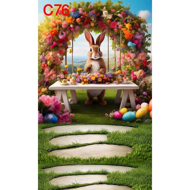 FONDS STUDIO TYPE C 2025