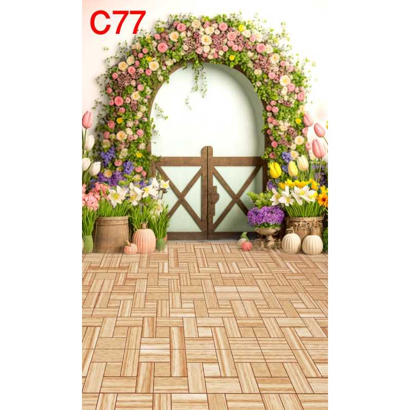 FONDS STUDIO TYPE C 2025