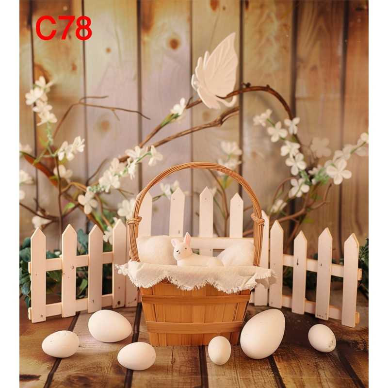 FONDS STUDIO TYPE C 2025