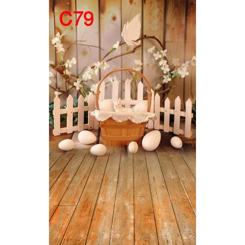 FONDS STUDIO TYPE C 2025