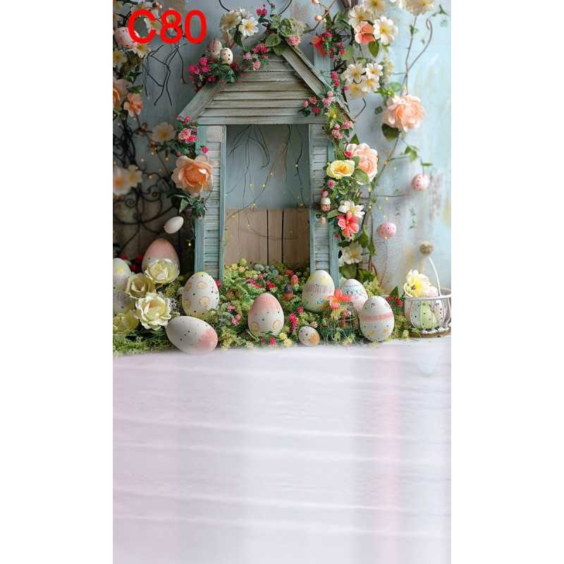 FONDS STUDIO TYPE C 2025