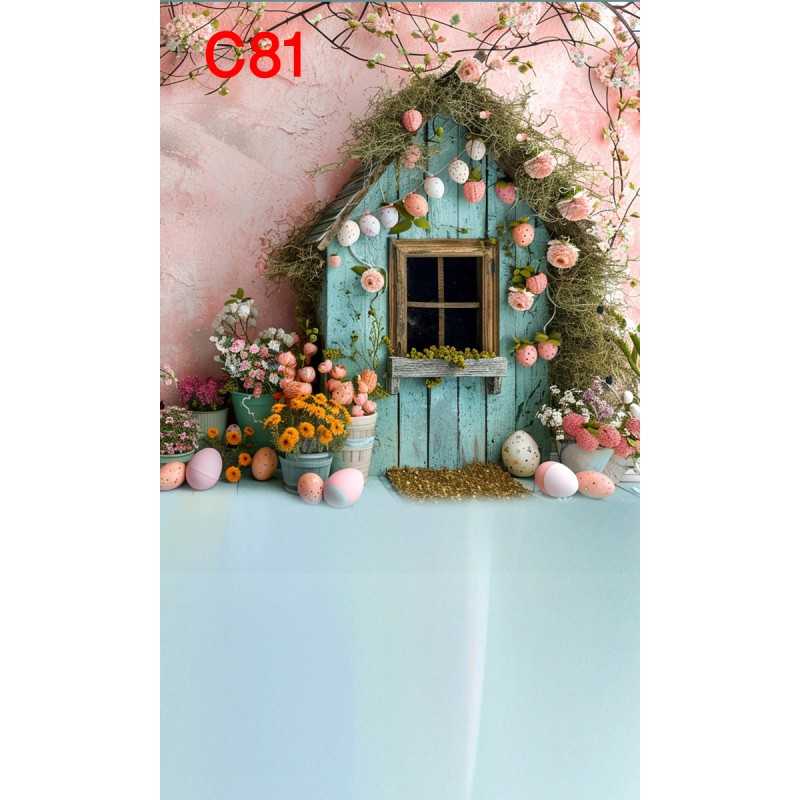 FONDS STUDIO TYPE C 2025