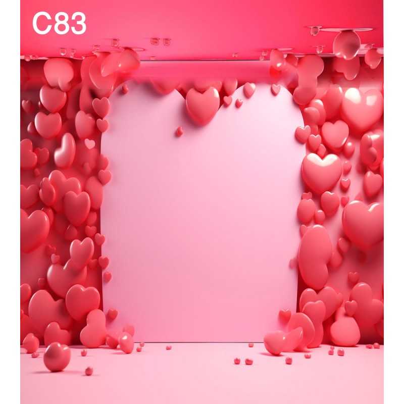 FONDS STUDIO TYPE C 2025