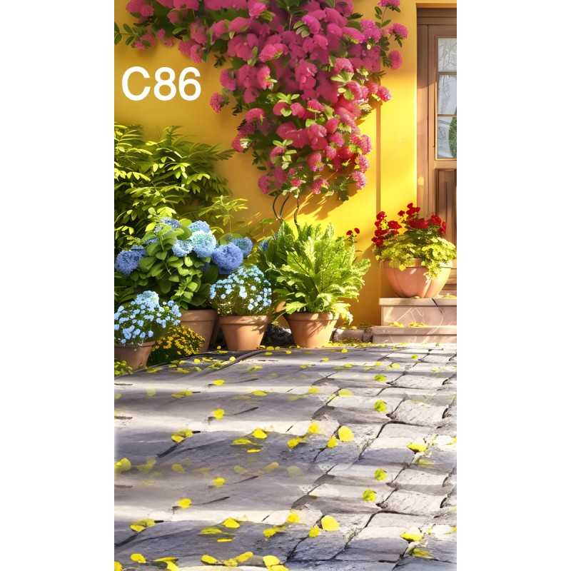 FONDS STUDIO TYPE C 2025