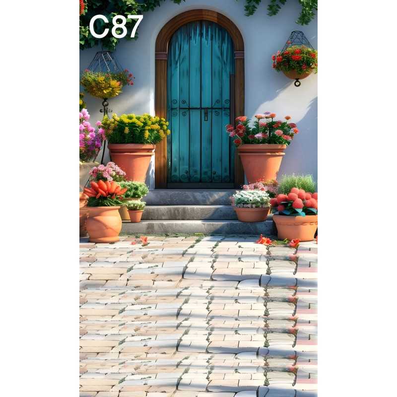 FONDS STUDIO TYPE C 2025