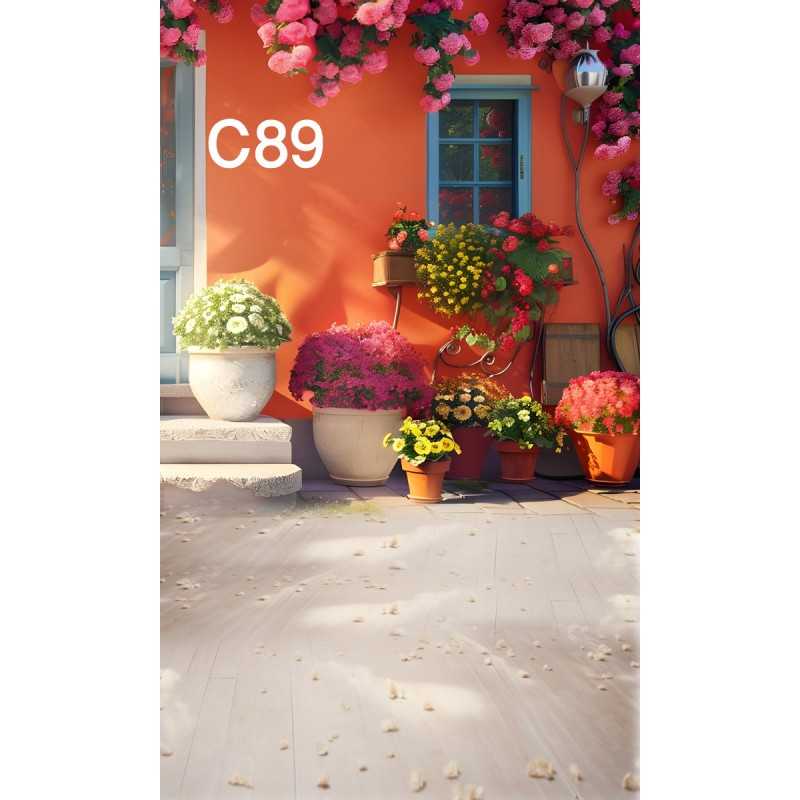 FONDS STUDIO TYPE C 2025