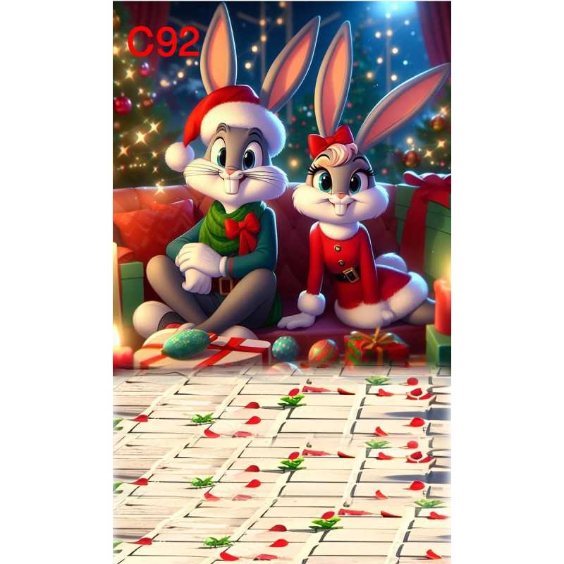 FONDS STUDIO TYPE C 2025