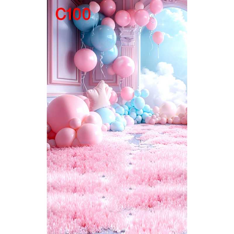 FONDS STUDIO TYPE C 2025