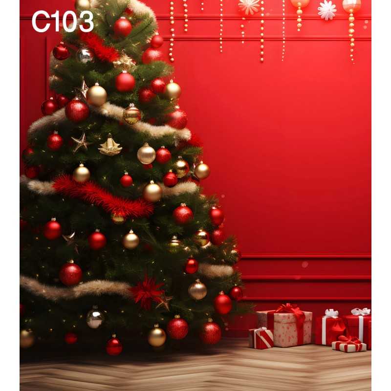 FONDS STUDIO TYPE C 2025