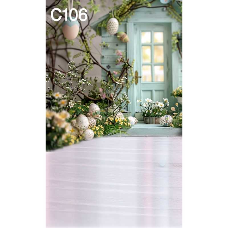 FONDS STUDIO TYPE C 2025