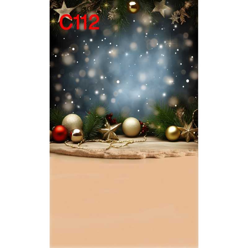 FONDS STUDIO TYPE C 2025