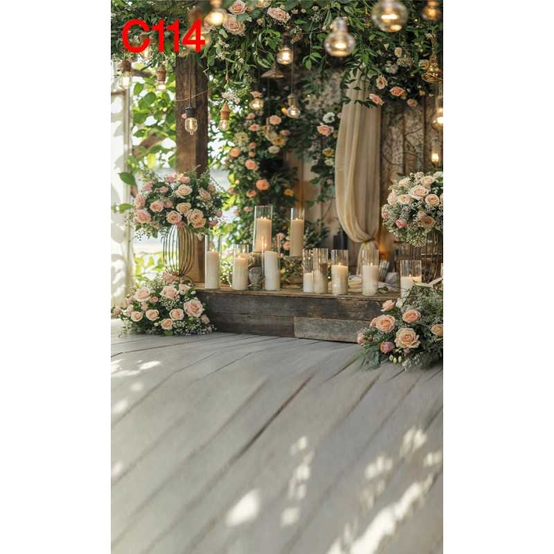 FONDS STUDIO TYPE C 2025