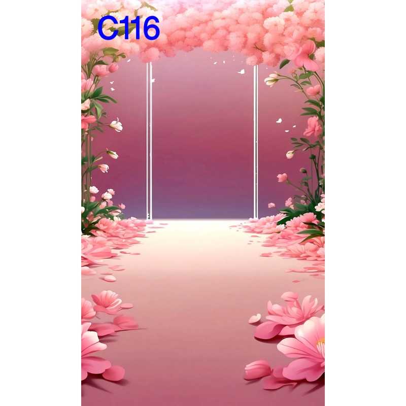 FONDS STUDIO TYPE C 2025