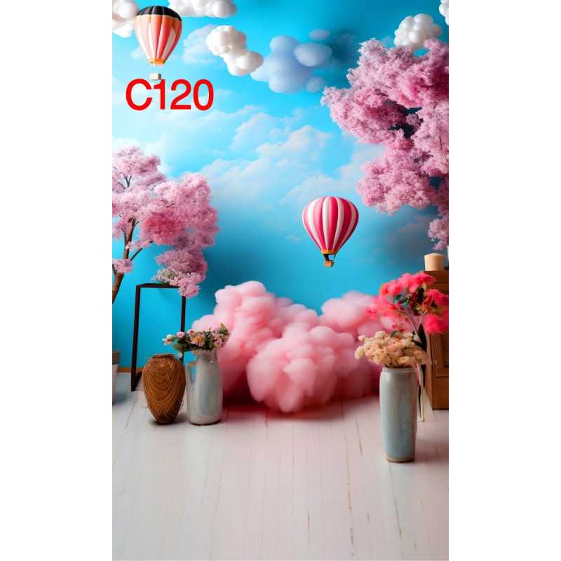 FONDS STUDIO TYPE C 2025