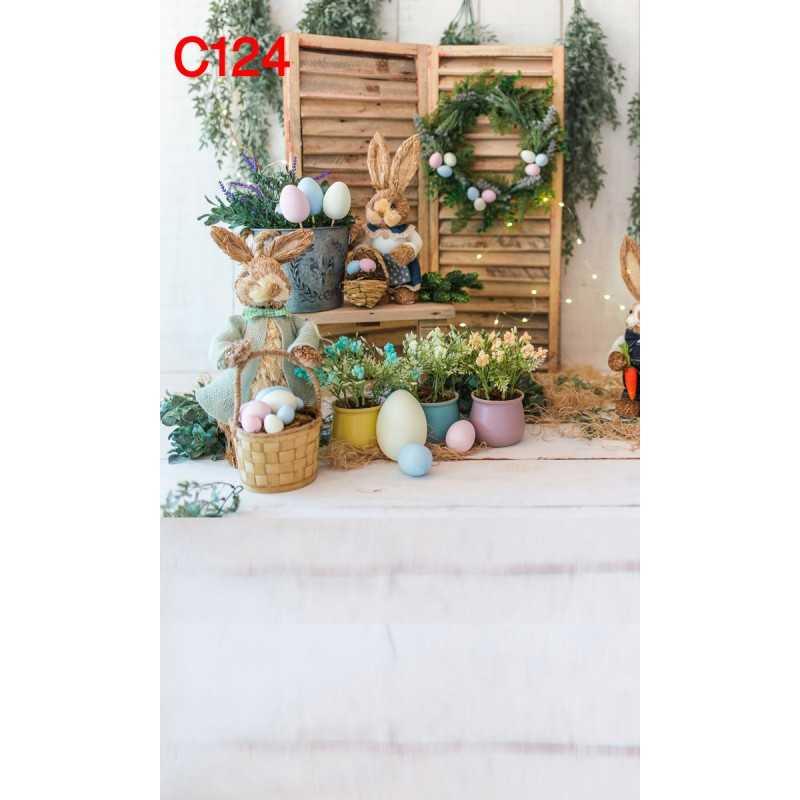 FONDS STUDIO TYPE C 2025