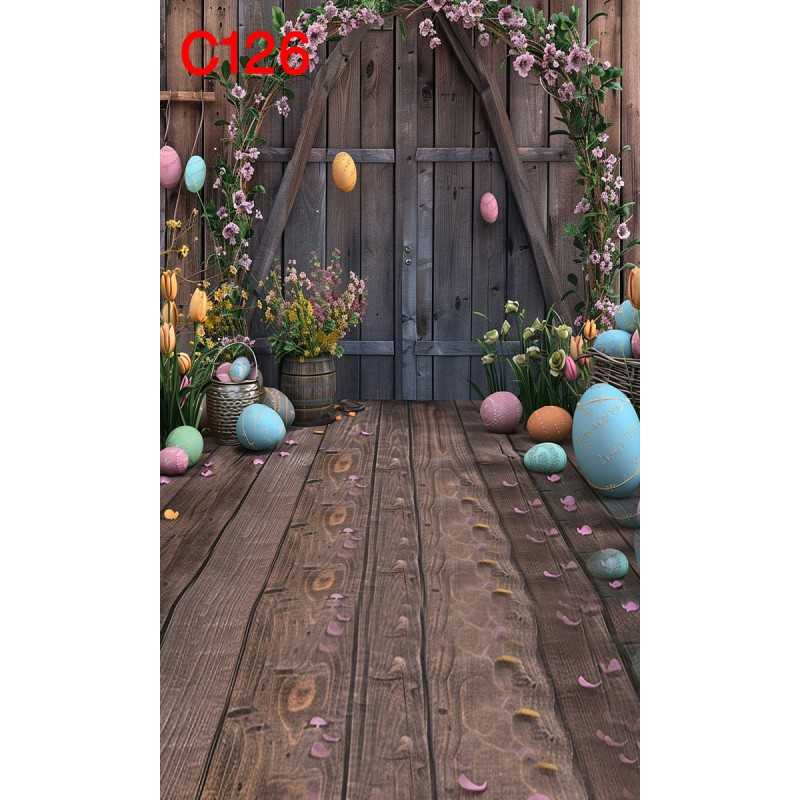 FONDS STUDIO TYPE C 2025