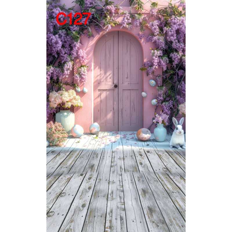 FONDS STUDIO TYPE C 2025