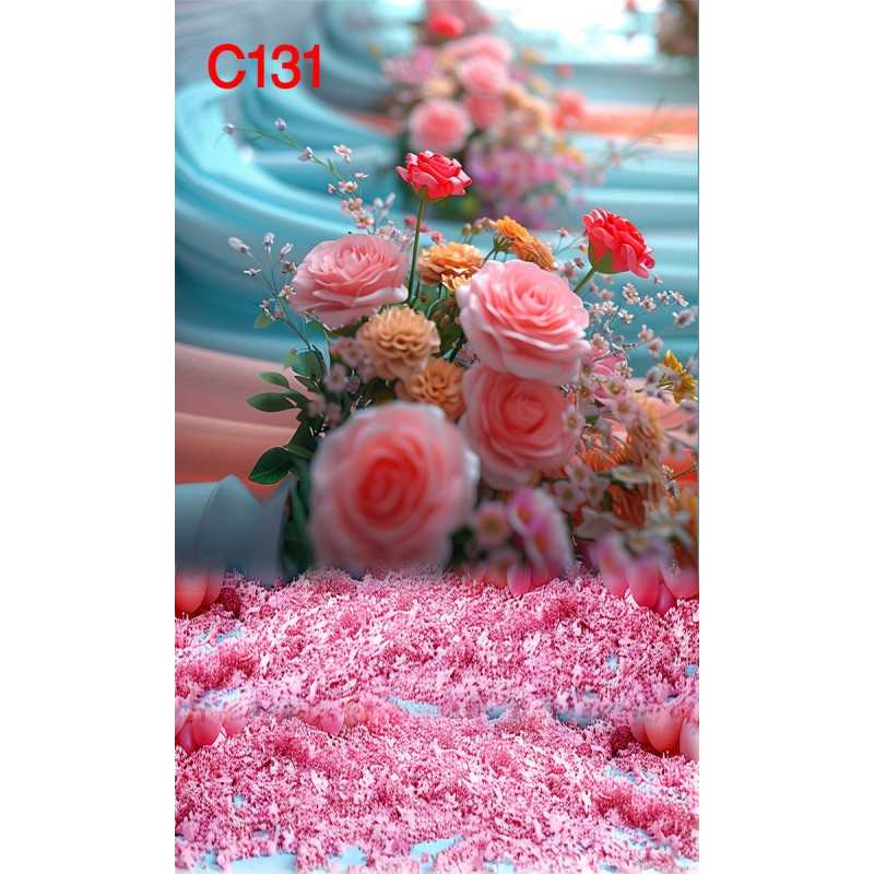 FONDS STUDIO TYPE C 2025