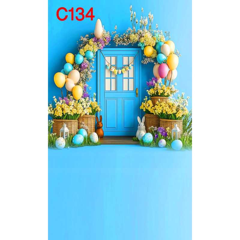 FONDS STUDIO TYPE C 2025