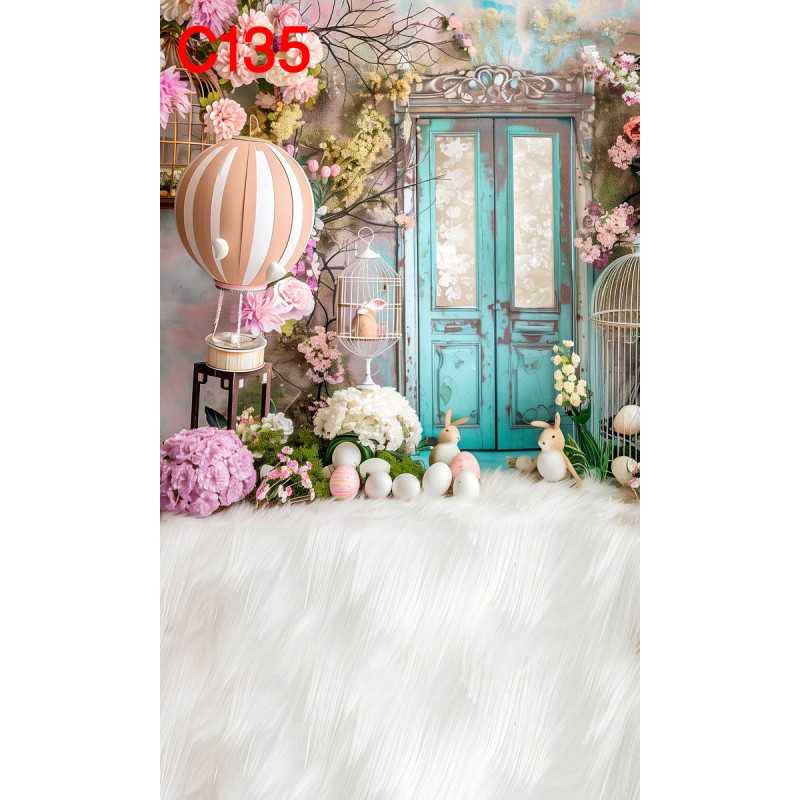 FONDS STUDIO TYPE C 2025