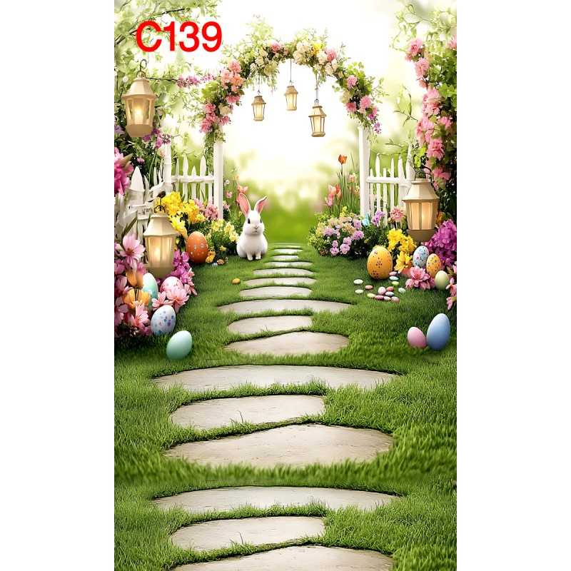 FONDS STUDIO TYPE C 2025