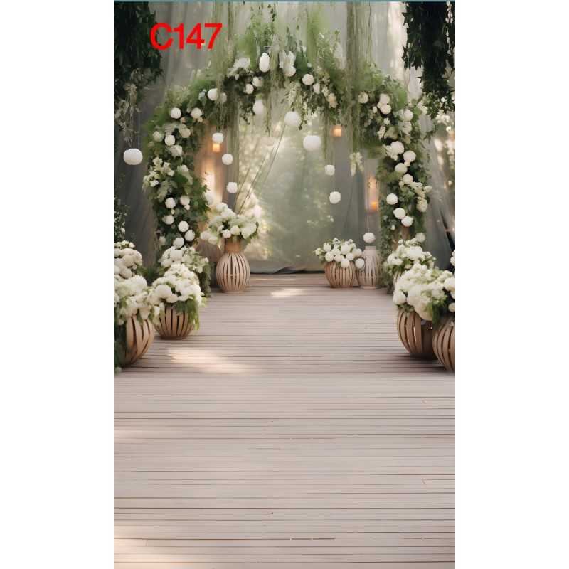 FONDS STUDIO TYPE C 2025