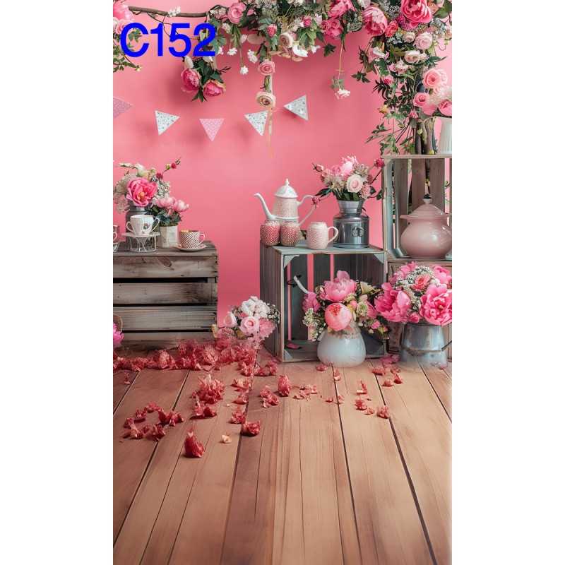 FONDS STUDIO TYPE C 2025