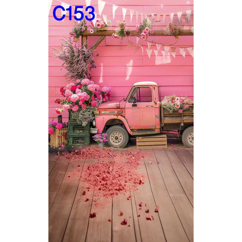 FONDS STUDIO TYPE C 2025