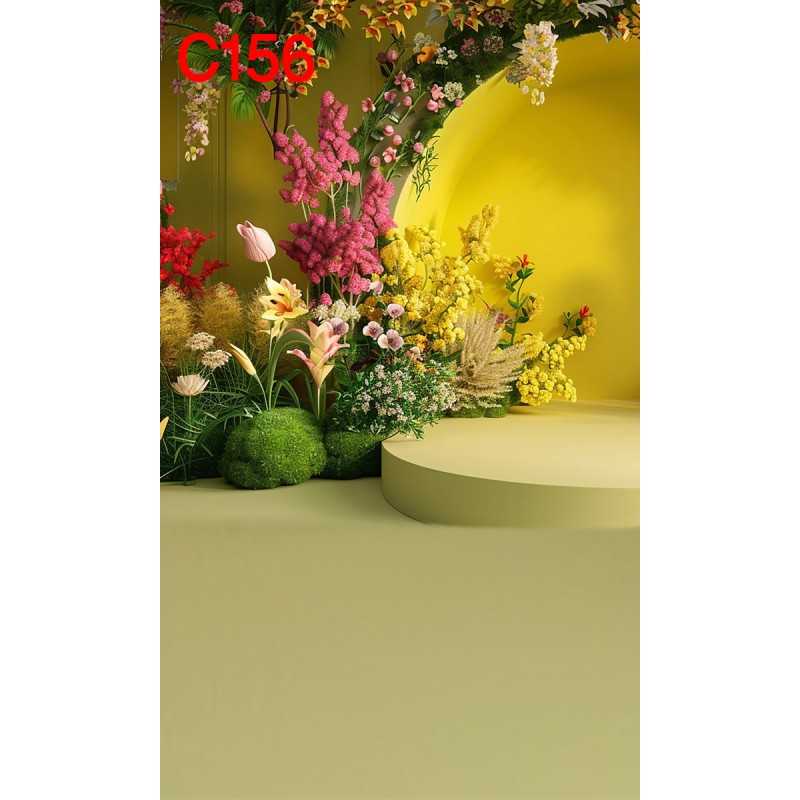 FONDS STUDIO TYPE C 2025