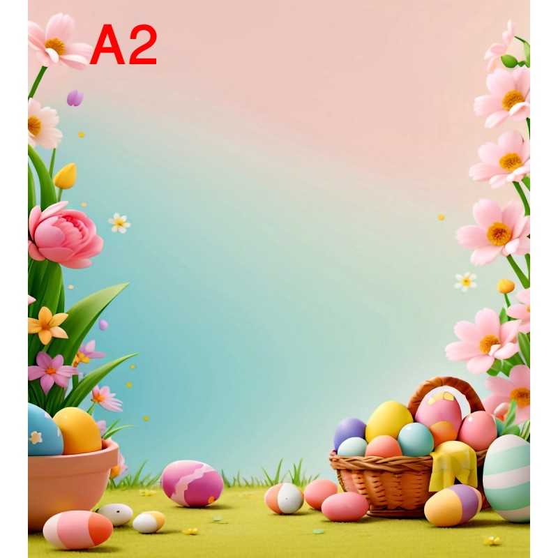 FONDS STUDIO TYPE A 2025