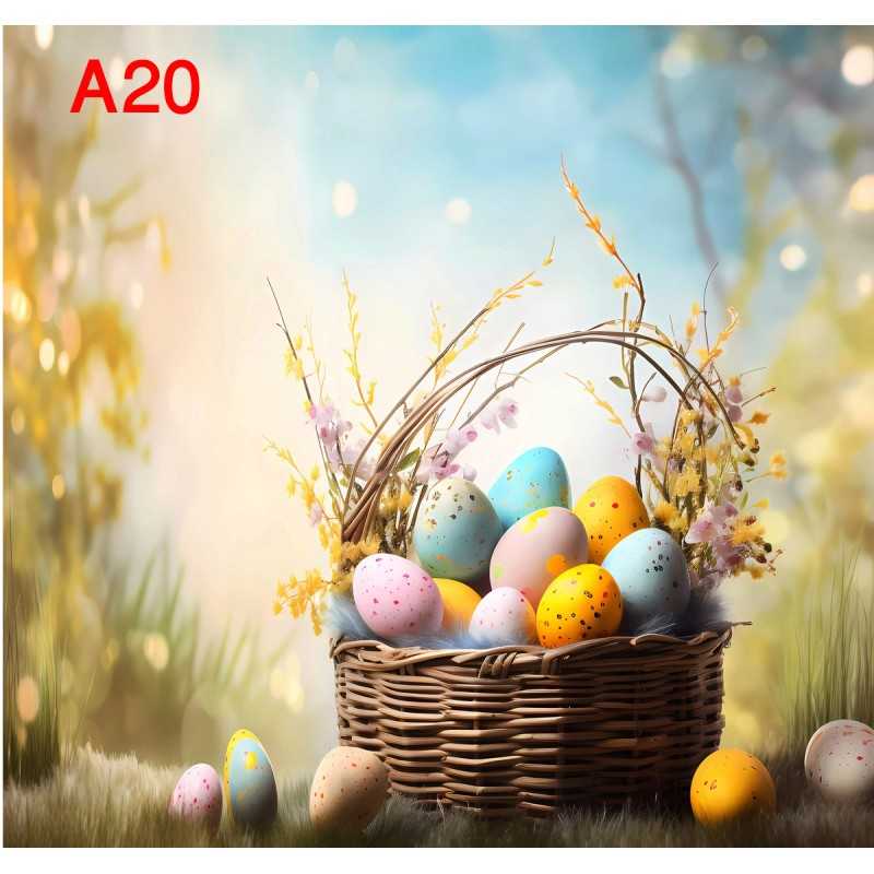 FONDS STUDIO TYPE A 2025