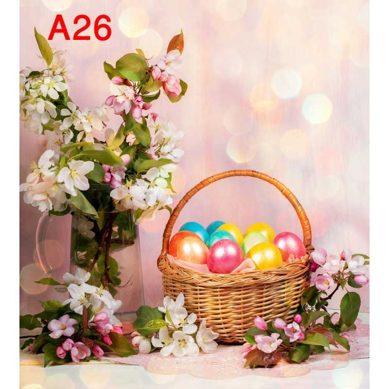 FONDS STUDIO TYPE A 2025