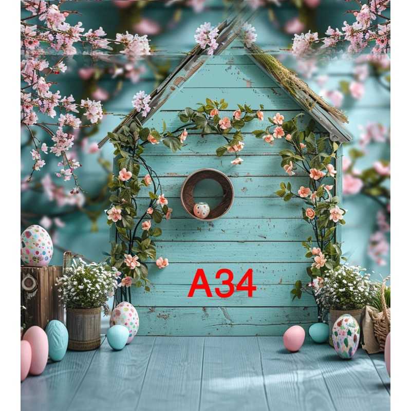 FONDS STUDIO TYPE A 2025