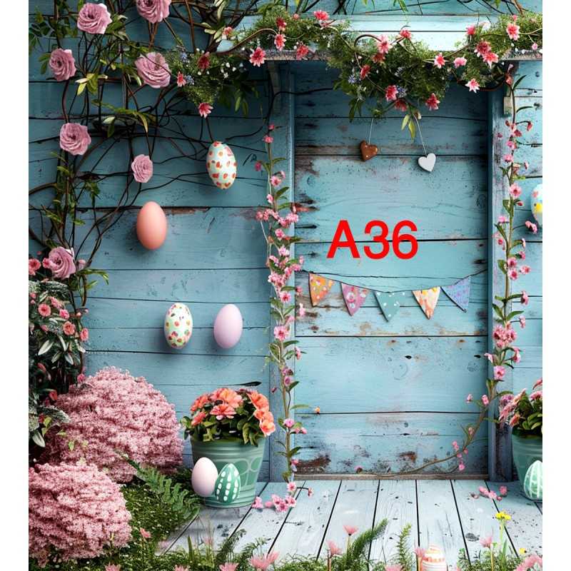 FONDS STUDIO TYPE A 2025