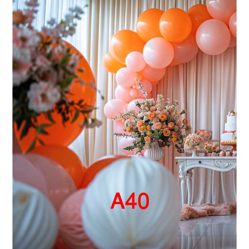 FONDS STUDIO TYPE A 2025