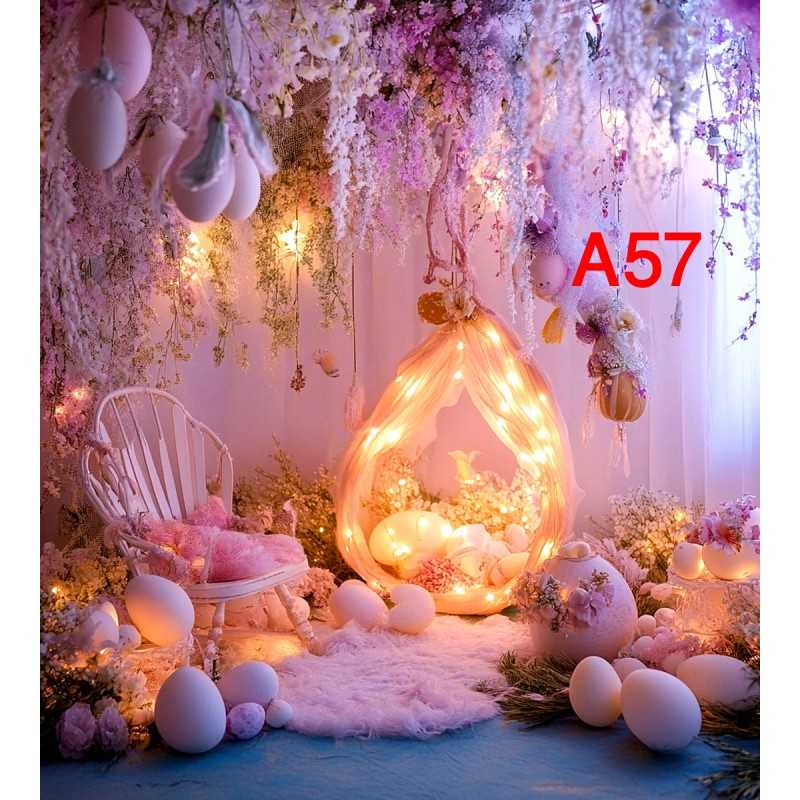 FONDS STUDIO TYPE A 2025