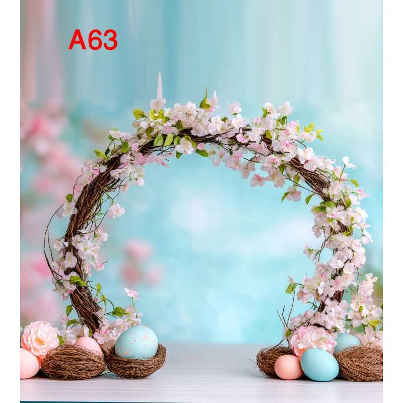 FONDS STUDIO TYPE A 2025