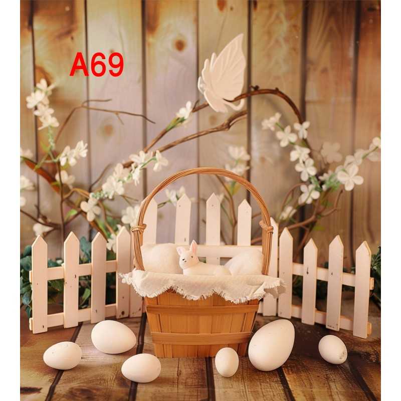 FONDS STUDIO TYPE A 2025