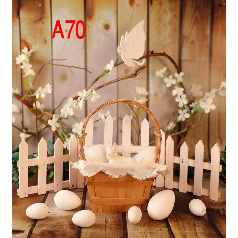 FONDS STUDIO TYPE A 2025