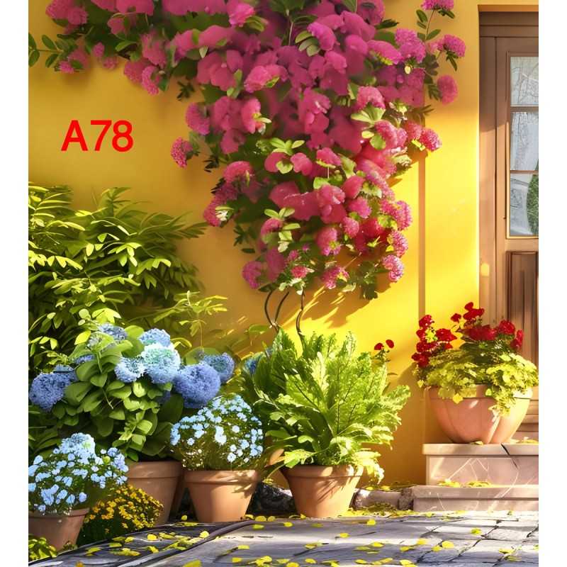 FONDS STUDIO TYPE A 2025