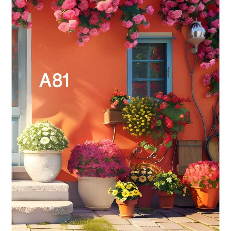 FONDS STUDIO TYPE A 2025