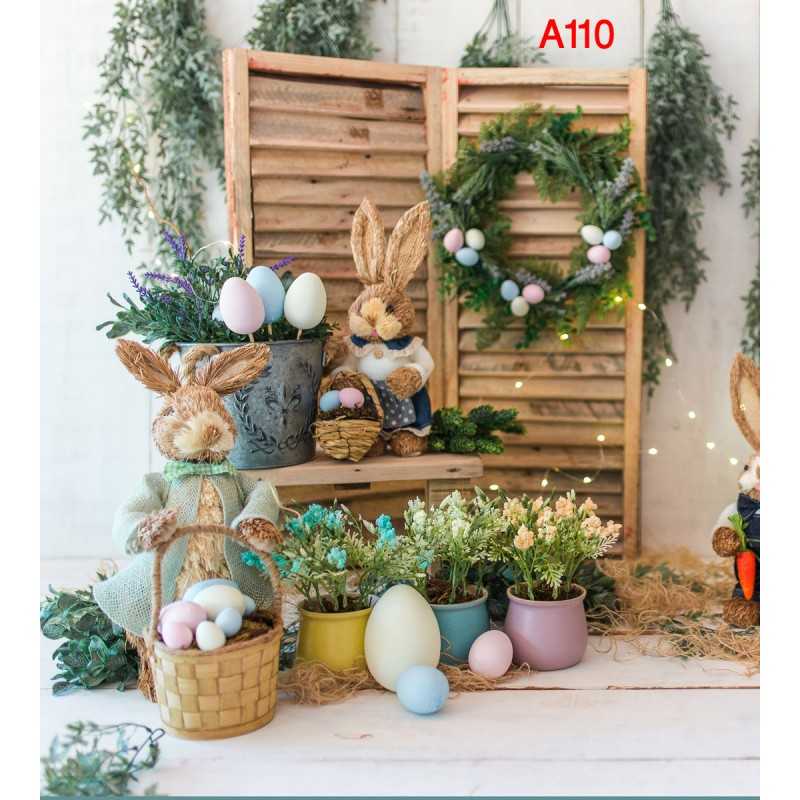 FONDS STUDIO TYPE A 2025