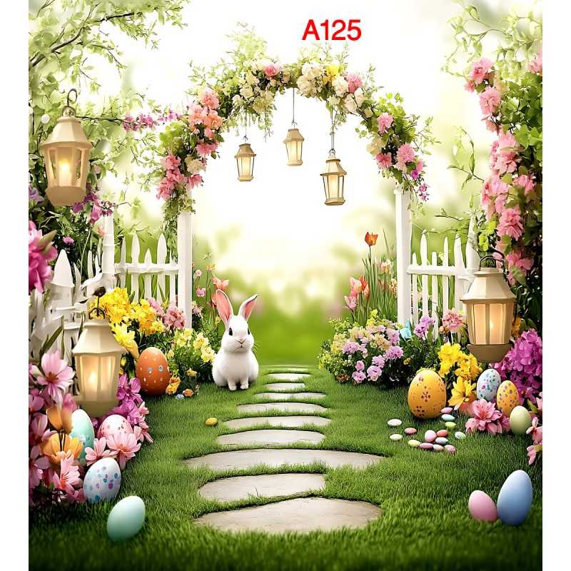 FONDS STUDIO TYPE A 2025