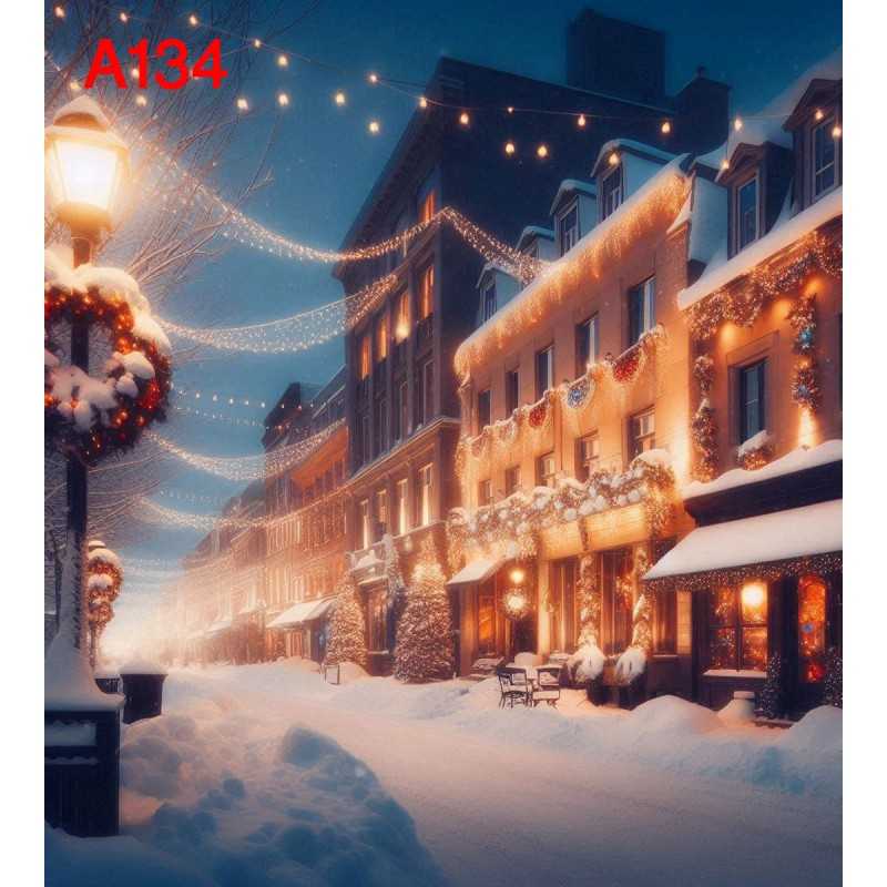 FONDS STUDIO TYPE A 2025